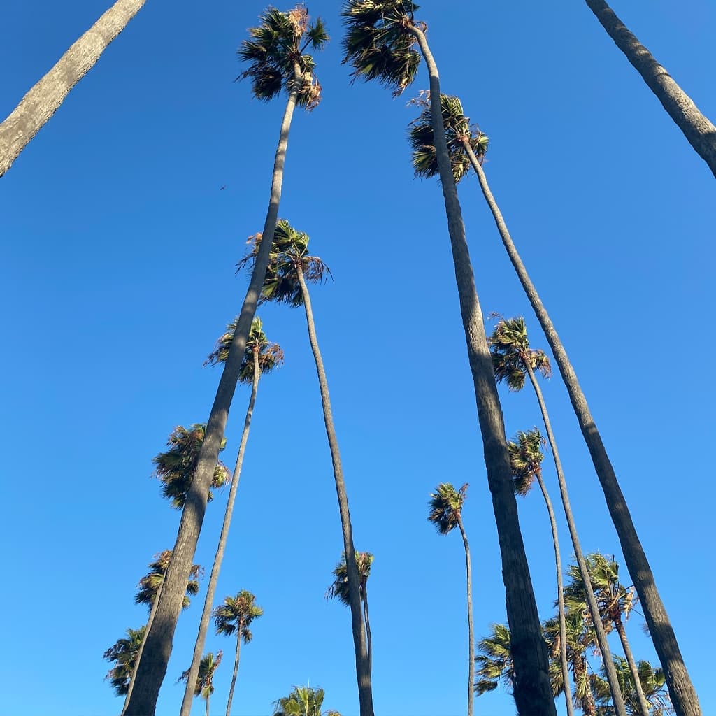 Service｜Gotra Co., Ltd.